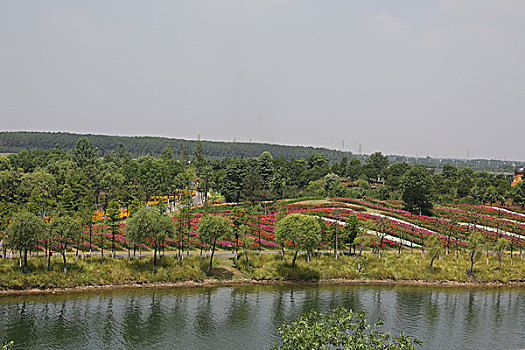 xổ số mega