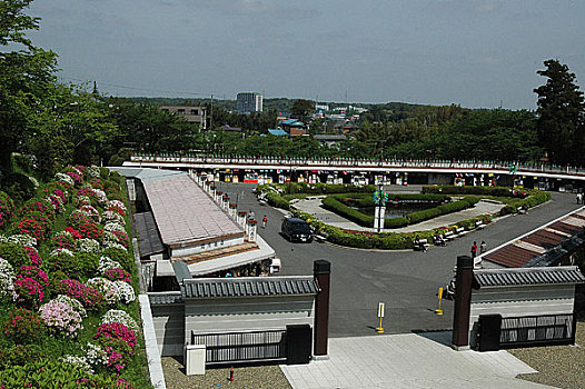 soi cau thuan vu