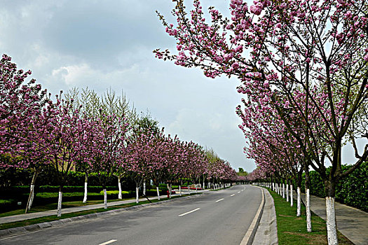 cách đánh trúng đề