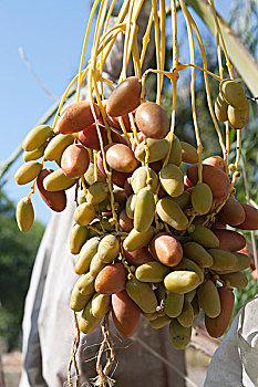 soi cầu 3 miền bắc trung nam